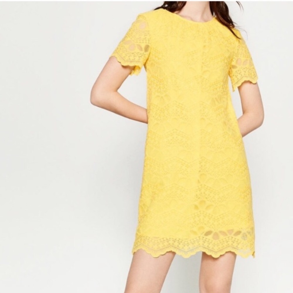 Zara Yellow Lace dress